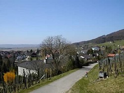 foto1
